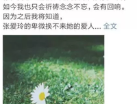 《但愿爱情明媚如初》读后感1000字