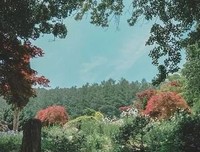 15条关于心安理得的经典语句