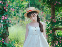 尘埃落定的句子