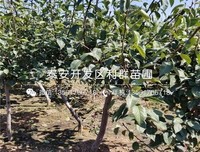关于生生不息的座右铭