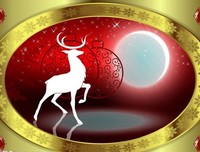 今天的月亮很圆，但月光总是明亮的