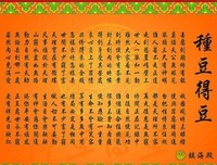 心动的文字优美的句子