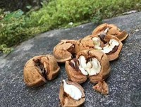 容与风流好词好句