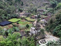 《天坑人家》影评精选