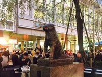 《北泽一家-管好自家事-》好看吗？经典影评锦集