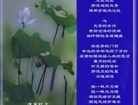 《北京的痴梦》的读后感大全