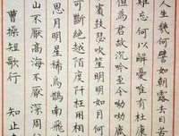 《短歌行》读后感100字