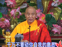 自己喜欢自由自以为是，想按照自己的意思行事，为什么