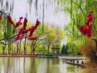 自己每天总爱胡思乱想怎么办？