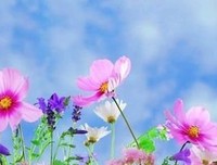 正反思考经典名句