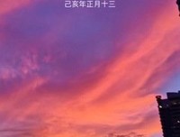 搜刮被生活藏起来的温柔