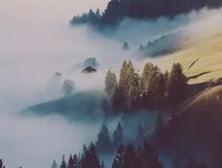 父母在我面前变得小心翼翼了……