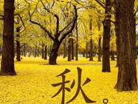 七言殇的优美句子