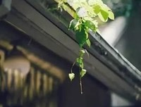 夜读：让你受益的八个感悟