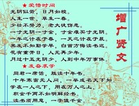 何谓文化读后感1000字