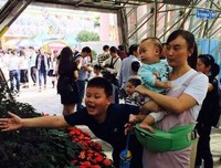 关于果不其然的座右铭