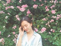 橘生淮南的句子