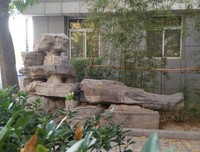《帕克兰医院》的观后感大全