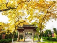 关于静美的语句