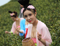 关于身体力行的语句