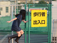 关于苦不堪言的名句摘抄