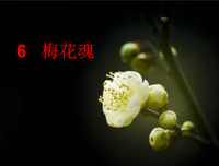 关于顶天立地的语句