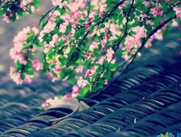 谜殇好词好句