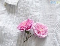 《风吟@残还西～～》的句子