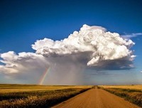 孩子，你急什么