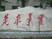 描写实事求是的经典句子