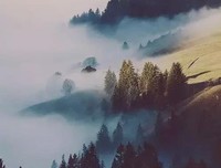 罗瑞卿：折不断的风帆