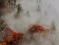 狄仁杰：能屈能伸的大丈夫