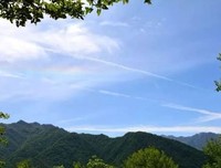 是谁窃取了那 眼生 机