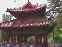 杏坛之“呐喊”——读《不跪着教书》有感