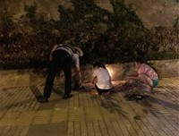 傍晚，小区散步