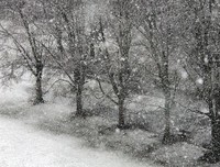 大雪纷飞格言警句
