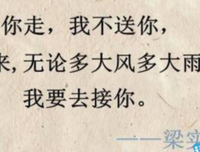 15条关于不足为奇的经典语句