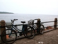 潮起潮落的名言_关于潮起潮落的名言