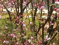 文明开“驶” 你我同行
