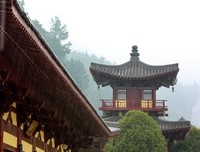 厌离娑婆要彻骨彻髓！