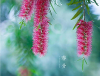 大自么快乐大自么痛优美的句子