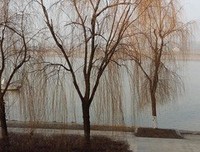 早读：宽恕别人，就是善待自己