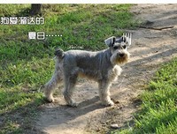 离家出走记