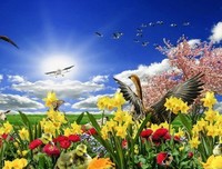 鸟语花香格言警句