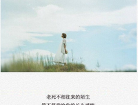 关于老死不相往来的唯美语录