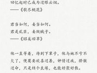 关于小说暖句的优美句子
