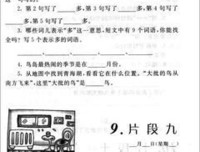 《断裂的阶梯》读后感摘抄