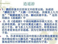 逍遥法外的名句_关于逍遥法外的名句