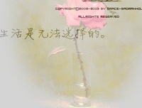 作向风考必备句子