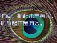 关于收藏的优美句子